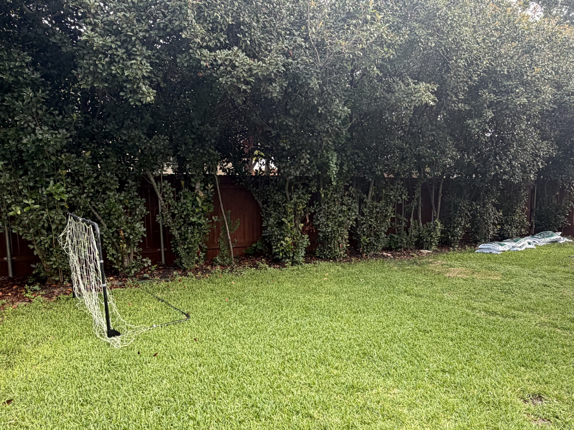 Backyard Tree Line & Mulch Bed — before