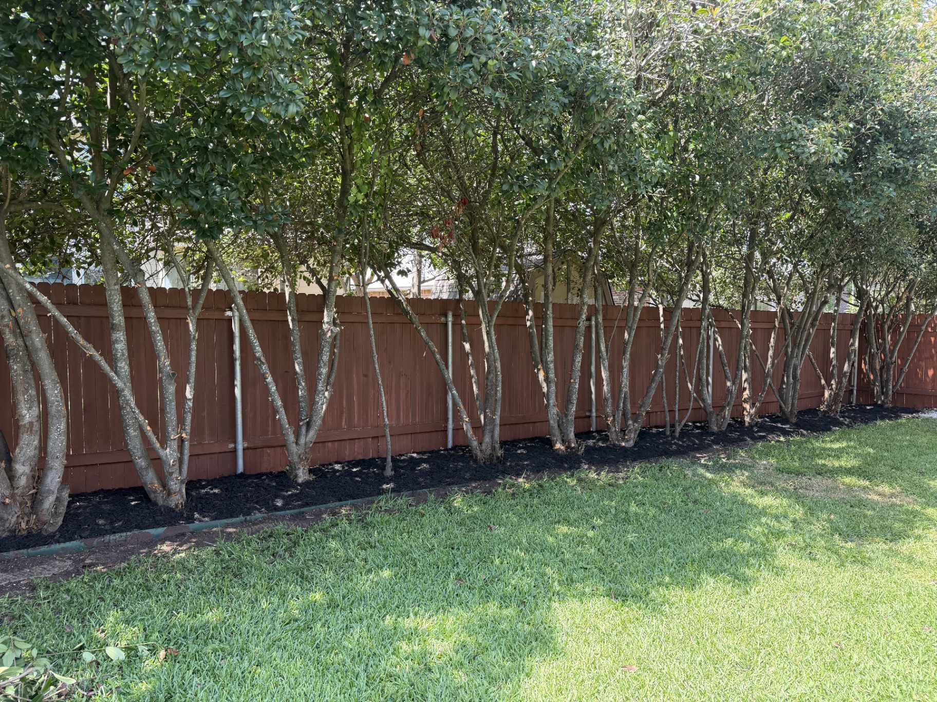 Backyard Tree Line & Mulch Bed — after